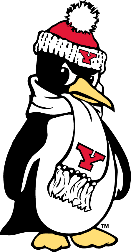 Youngstown State Penguins 1993-Pres Alternate Logo v7 iron on transfers for clothing